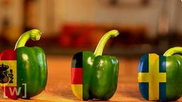 Drei grne Paprika mit einer spanischen, deutschen und schwedischen Flagge