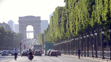 Bild: NDR Der Champs Elysees in Paris