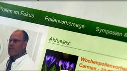Pollenvorhersage-App auf einem Handy