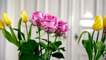 Rosen und Tulpen in einer Vase.