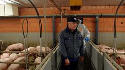 Bornhorst und Landwirt im Schweinestall