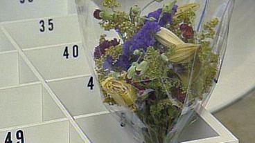 Blumenstrauß in einer weißen Kiste mit verschiedenen nummerierten Fächern