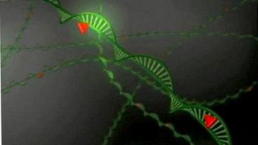 Computeranimation: DNA  mit roten Dreiecken
