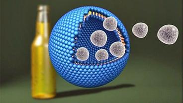 Grafik: Zusatzstoffe wie Vitamine oder Konservierungsstoffe werden in Nano-Kapsel eingebaut