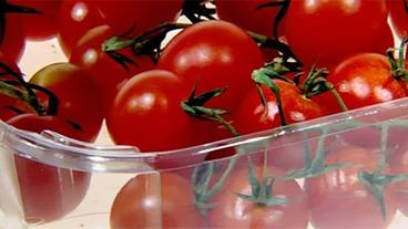 Tomaten, verpackt in Plastikschale