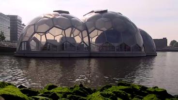 Floating Pavillon in Rotterdam der Firma Deltasync