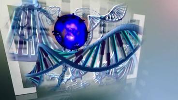Ein freies Radikal "klaut" ein Stück DNA aus DNA-Doppelhelix