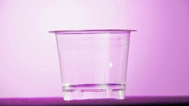 Bildquelle: NDR Ein Joghurtbecher aus Bioplastik