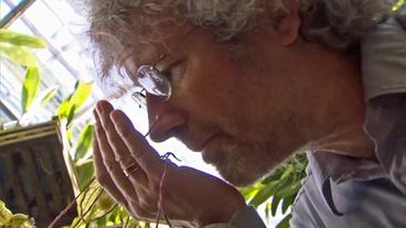   Dr. Günter Gerlach riecht an einer Blüte 