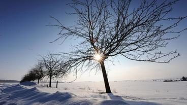 Bildquelle: dpa Eine verschneite Landschaft in der Sonne