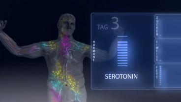 Die Grafik zeigt den erhöhten Serotoninspiegel
