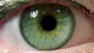 Bildquelle: photos.com Auge