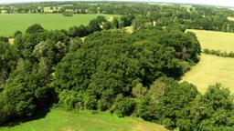 Waldflche aus der Vogelperspektive