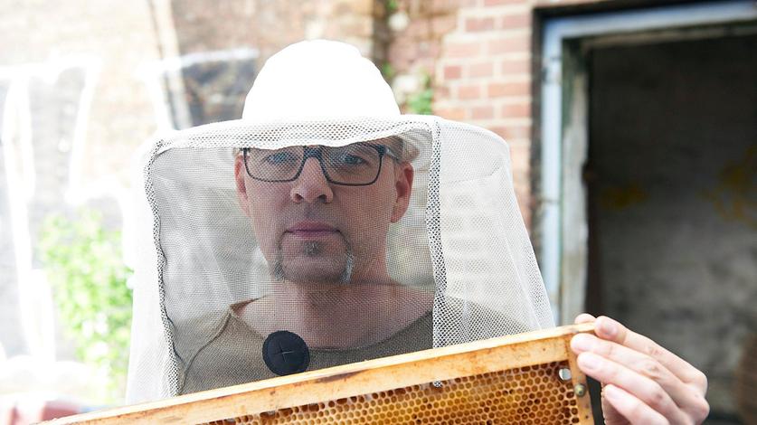 Das Bienensterben ist in aller Munde. Thomas zeigt in "Wissen vor acht - Natur", warum Bienen so wichtig für uns sind und wie eine Welt ohne Bienen aussehen würde.