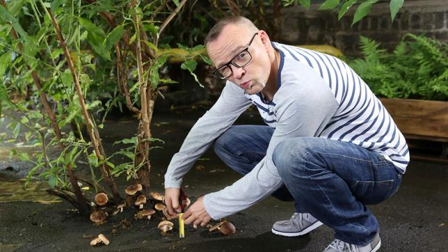 Bild: ARD/Ralf Juergens Thomas D im Studio