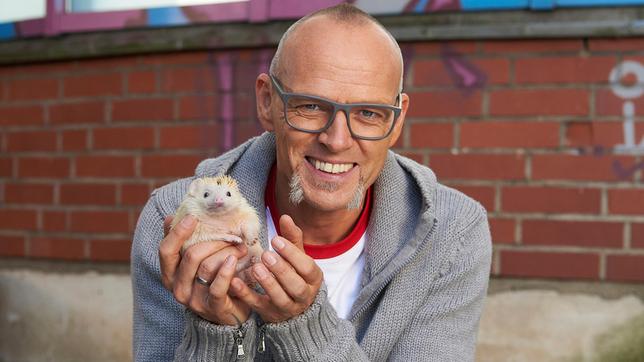 Bild: ARD/Melanie Grande Die Stadt ist ja eigentlich ein recht lebensfeindliches Umfeld für die meisten Tierarten. Doch eine Tierart findet sich in der Großstadt bestens zurecht: Der Igel. Thomas D erklärt, warum es den stacheligen Säugetieren in der Stadt so gut gefällt, bei Wissen vor acht - Natur.