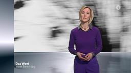 Stefanie Schardien