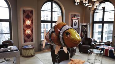 Clownfisch