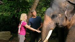 Der Aussteiger Leon (Bernhard Bettermann) führt Nadja (Saskia Valencia) durch seine Elefantenfarm.
