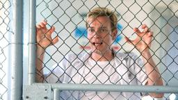 Der blauäugige Phillip Morris (Ewan McGregor) verliebt sich im Gefängnis.