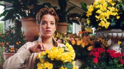 Die Blumenverkäuferin Sofie (Muriel Baumeister) ist bestürzt darüber, dass ihr Freund sie betrogen hat.