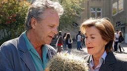 Die unbeliebte Lehrerin Petra Winter (Thekla Carola Wied) hat zum Dienstjubiläum von ihren Kollegen einen Kaktus geschenkt bekommen, den sie an Hausmeister Christian Brenner (Peter Sattmann) weiter gibt.