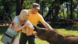 Durch Leon (Bernhard Bettermann), der eine Elefanten-Farm betreibt, gewinnt die trauernde Nadja (Saskia Valencia) neuen Lebensmut.