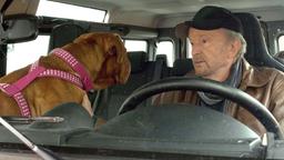 Eins ist nicht von dir: Uli (Michael Gwisdek) fährt mit seiner Dogge zu seiner Familie.