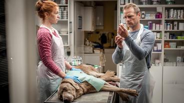 Jule Christiansen (Marleen Lohse) und Hauke Jacobs (Hinnerk Schönemann) während der Not-Operation von Hund Holly.