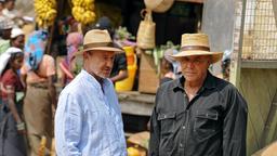Männer unter sich: Hotelmanager Markus (Christian Kohlund, re.) und Plantagenbesitzer Thilo (Miguel Herz- Kestranek) auf einem Markt in Sri Lanka.