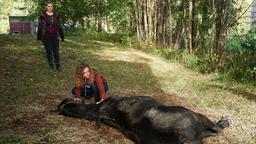 Reiterhofchefin Rike (Klara Deutschmann) und ihre Auszubildende Tabea (Nele Trebs) entdecken ein zurückgelassenes Pferd.
