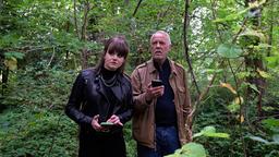 Kriminalhauptkommissar Karl Rogov und die junge Hospitantin Viola Reusch versuchen, in einem polnischen Waldgebiet die Position einer Wildtierkamera zu verifizieren.