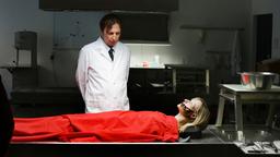 Der Pathologe untersucht die Leiche einer jungen Frau.