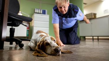 Revierhund Speedy lässt sich von Polizeihauptmeister Wolfgang Neumann (Fritz Roth) nicht von seinem Stammplatz vertreiben.