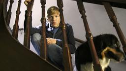 Max sitzt auf der Treppe