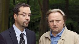 Wdr Mediathek Tatort Stream