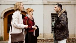Tarek Naumann (Max Hemmersdorfer), dem Hehlerei vorgeworfen wird, bemüht sich um anwaltliche Hilfe durch Romy Heiland (Christina Athenstädt) ihre Assistentin Tilly Vogel (Sina Reiß).
