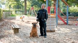 Paul Dänning (Jens Münchow) sammelt auf dem Spielplatz einen streunenden Wachhund auf und legt ihm einen Maulkorb an.