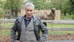 Der neue Zoodirektor Dr. Roman Blum vor einem Tiergehege.