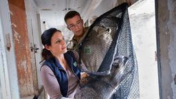 Susanne und ein Tierpfleger mit einem Waschbären im Fangnetz.