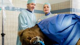 Dr. Gregersen (Tobias Hoesl) und Tierärztin Dr. Mertens (Elisabeth Lanz) haben dem Braunbären Osmo erfolgreich Gold implantieren und so das Leben des Tieres retten können.
