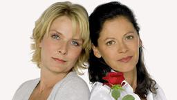 Von 2006 bis heute: Die Darsteller der "Rote Rosen"