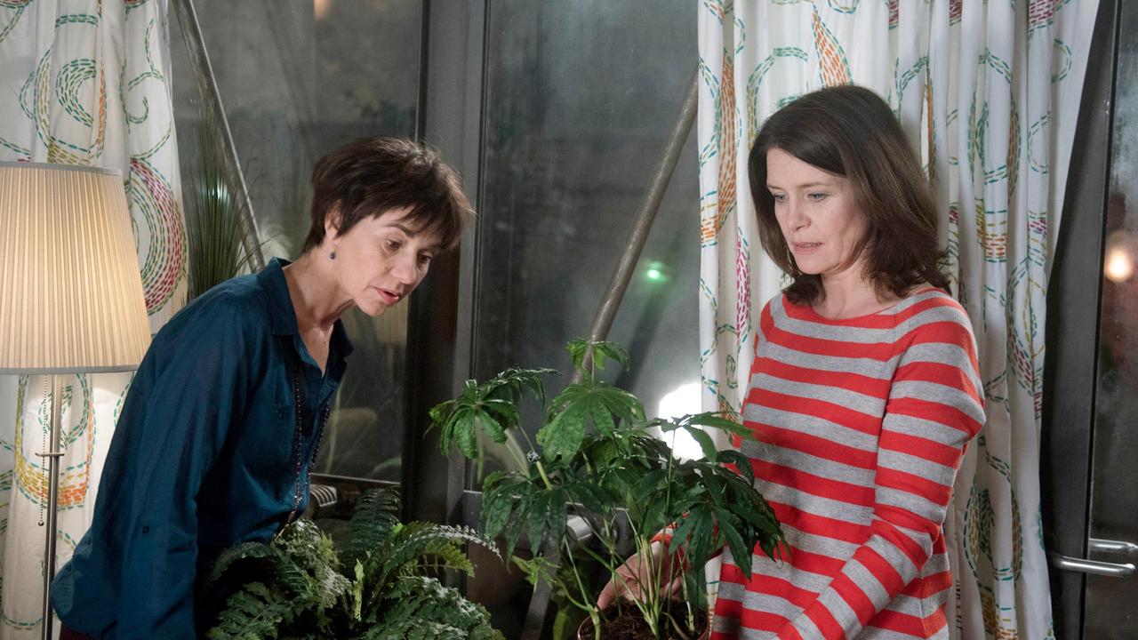 Als Helen (Patricia Schäfer) sich bereit erklärt, bei Merle (Anja Franke) zu übernachten, entdeckt sie erstaunt eine Cannabis-Pflanze in deren Gärtnerei.
