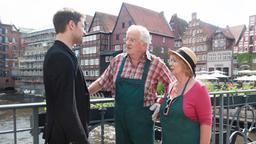 Mathis (Mickey Hardt) bittet seinen Vater Hajo (Werner Haindl) und Erika (Madeleine Lierck-Wien), ihm beim Falten der neuen Flyer zu helfen.