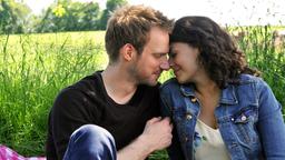 Sturm der Liebe: Leonard und Pauline beim Picknick auf einer Wiese