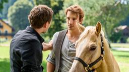 Oliver (Daniel Gawlowski) setzt Viktor (Sebastian Fischer) zunehmend unter Druck.