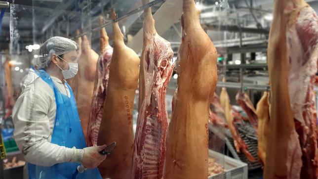 Zeitarbeit ist jetzt in der Fleischindustrie verboten.