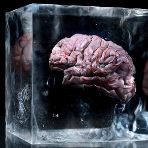 Aufnahme eines in einem Eiswürfel gefrohrnen Hirnmodels
