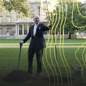 Charles kurz vor seiner Krönung zum König
