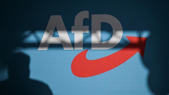Bild: picture alliance/dpa | Hannes P Albert Ein Redner wirft einen Schatten auf die Bühnenrückwand mit AfD-Schriftzug auf einer Veranstaltung.